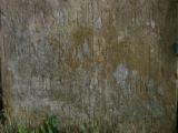 image of grave number 11885